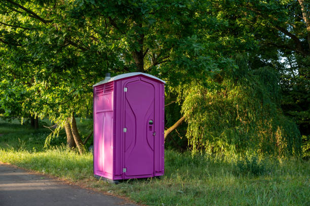 Best Eco-Friendly Portable Toilets  in Lowesville, NC